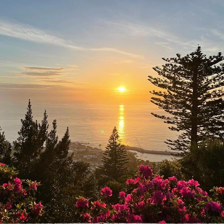 A Quinta Das Flores- Casa Do Miradouro Santa Cruz das Flores Dış mekan fotoğraf